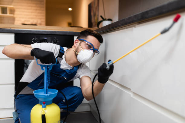 Best Emergency Pest Control  in Parkland, FL