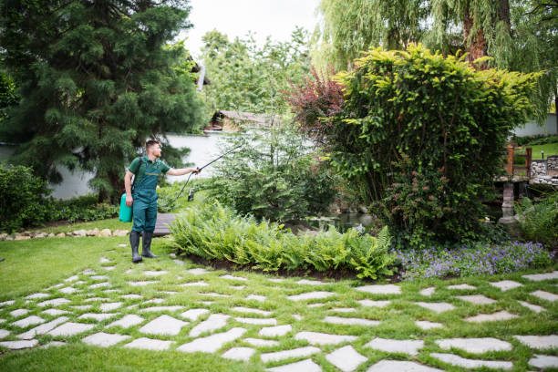 Best Affordable Pest Control Services  in Parkland, FL