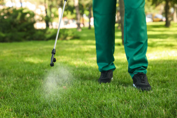 Professional Pest Control in Parkland, FL