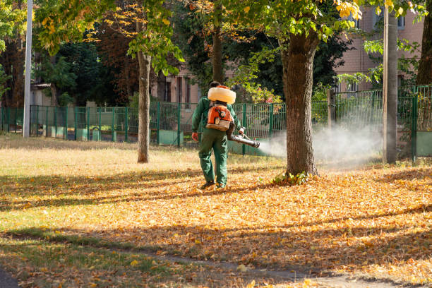 Wasp Removal Services in Parkland, FL