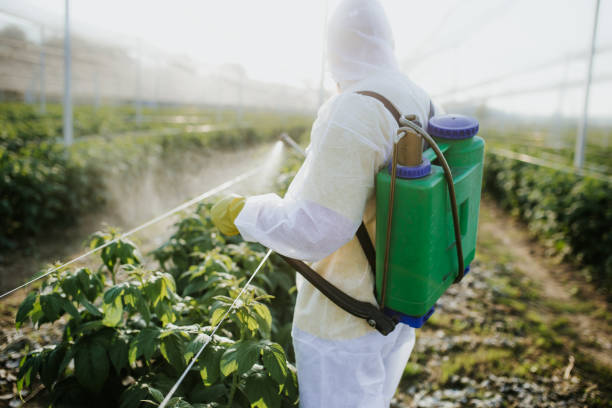 Best Best Pest Control Companies  in Parkland, FL